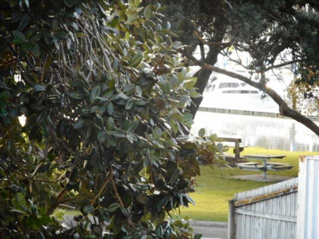 Apartment By The Marina Whitianga Bagian luar foto